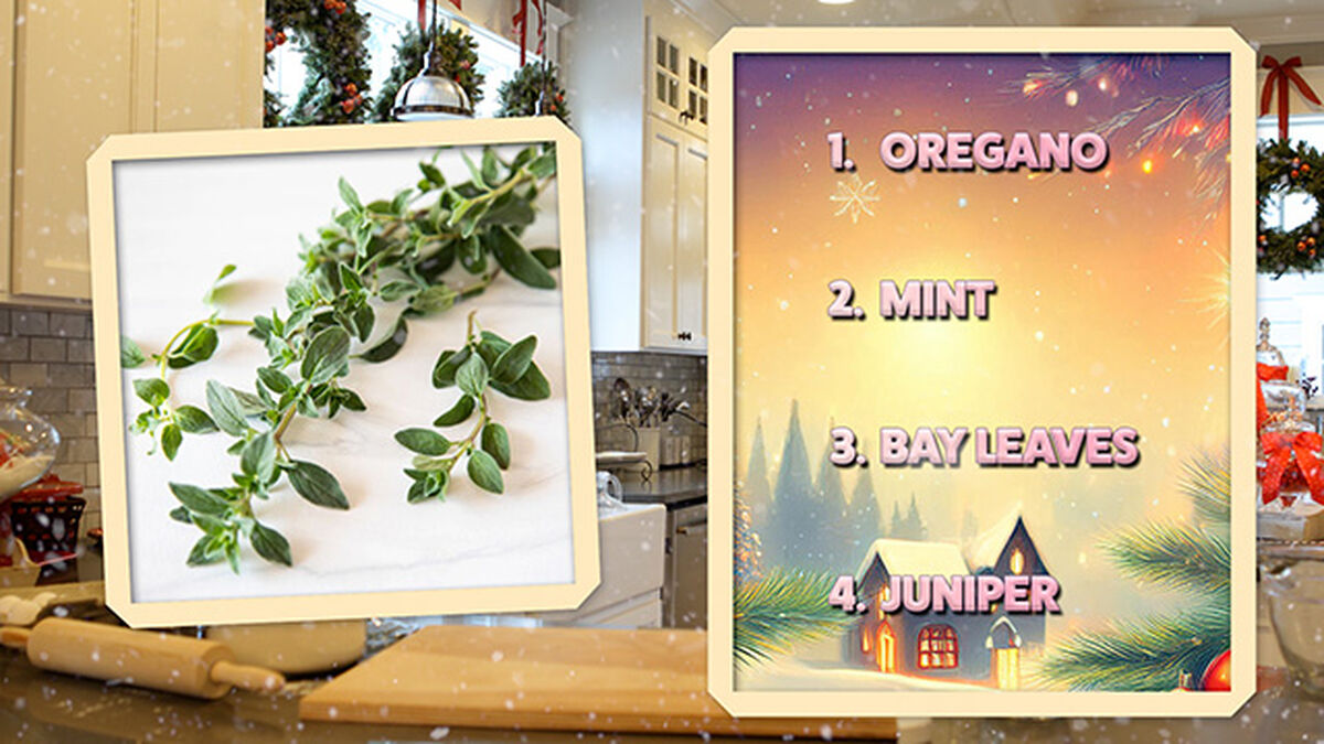 Seasoning's Greetings image number null